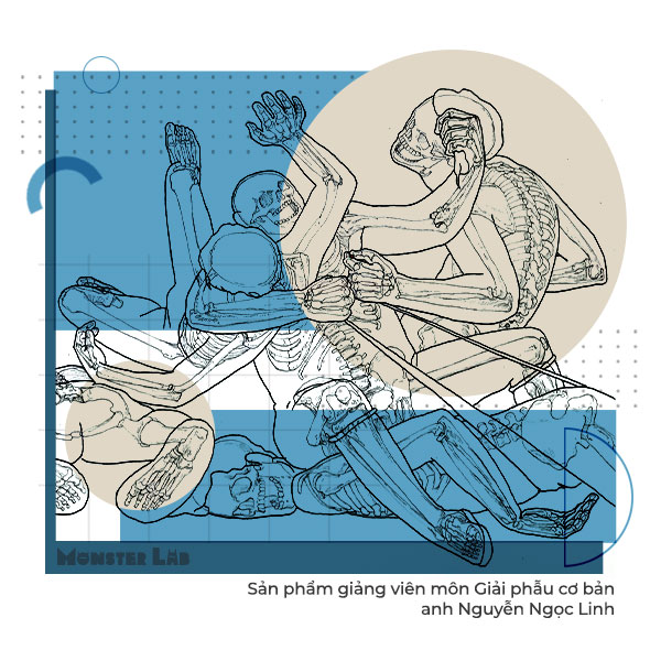 Giải phẫu học cơ bản