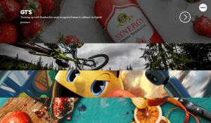 portfolio design for designer