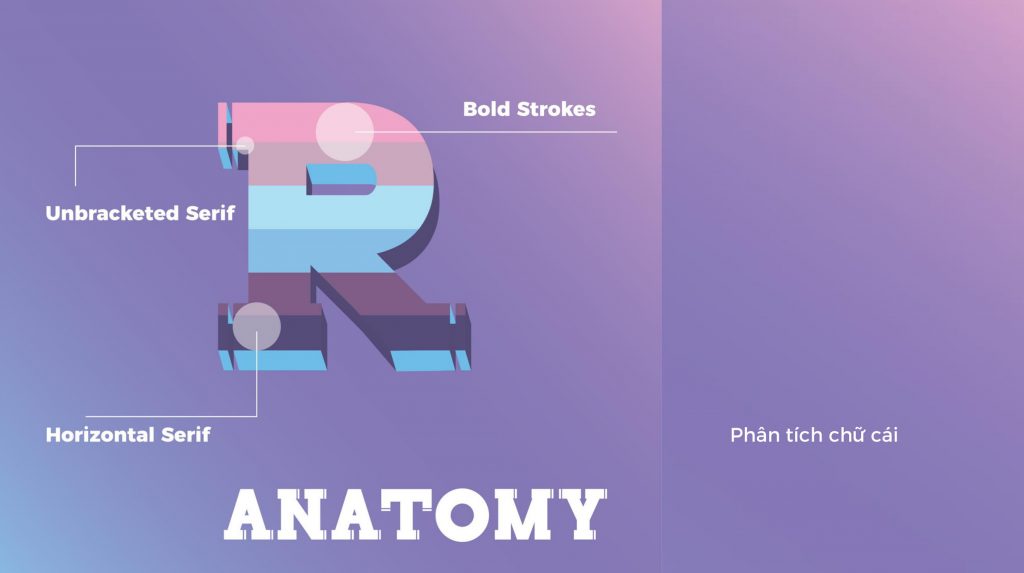 typography-vusonghien-movement-k2f
