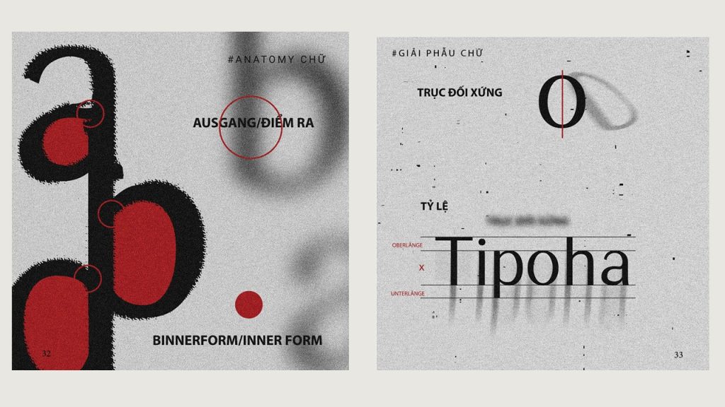 typography-lehuyhoang-k3l