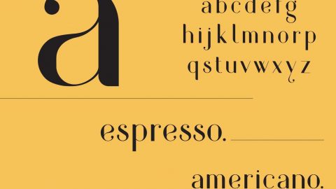 typography-emerges-thuy-man-sinhvien-monsterlab-02