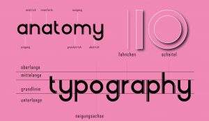 typography-nguyenthimyhanh-circle-k2f