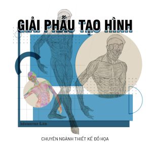 2025-module-giai-phau-tao-hinh