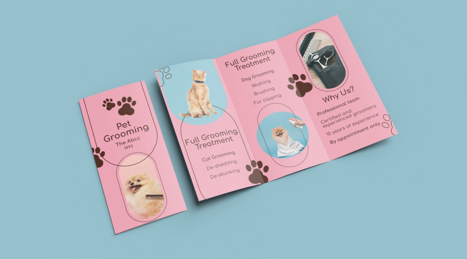 brochure