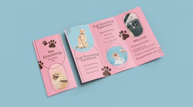 brochure
