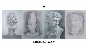 hinh hoa la gi