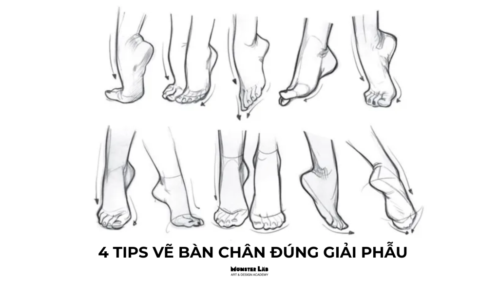 ve ban chan