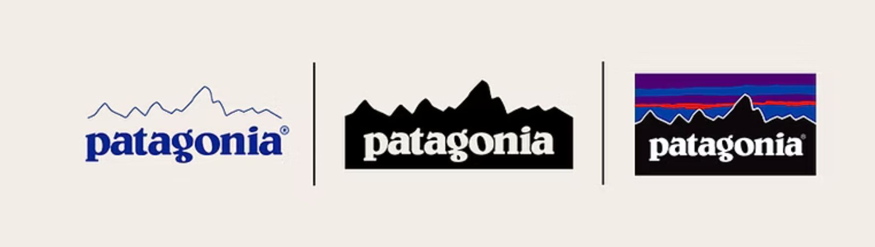 Patagonia- thương hiệu thời trang dã ngoại của Mỹ