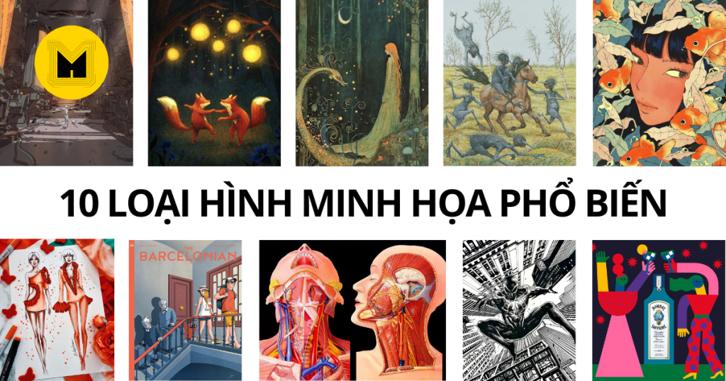 10-loai-hinh-minh-hoa