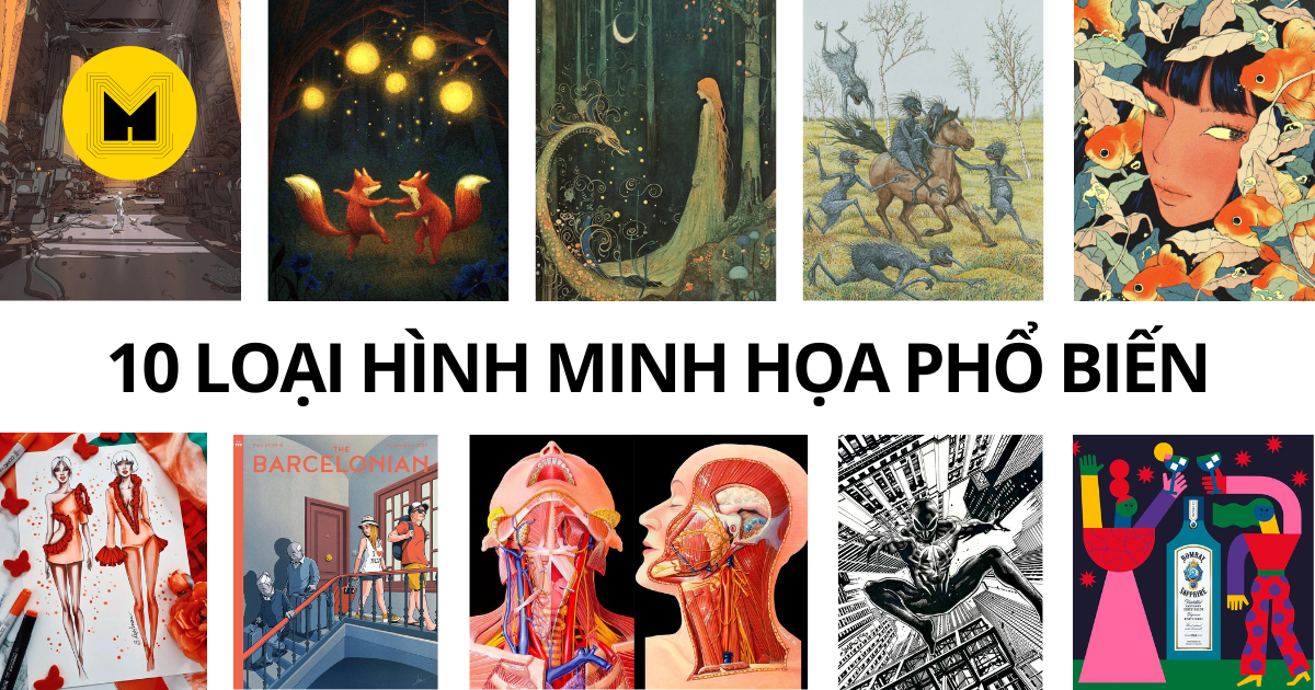 10-loai-hinh-minh-hoa